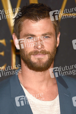 Photocall zu 'The Huntsman & the Ice Queen' in Hamburg