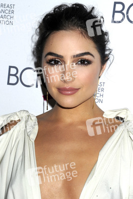 Breast Cancer Research Foundation Hot Pink Party in New York