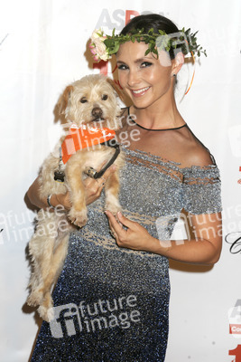 19. ASPCA Bergh Ball in New York