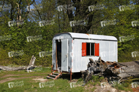 DOOR ART: Bauwagentür / Construction Trailer Door Bodypainting