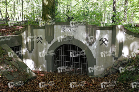 DOOR ART: Bergwerkstollentor / Mine Tunnel Gate Bodypainting