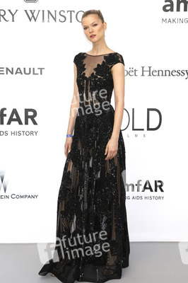 amfAR's Cinema Against Aids Gala, Cannes Film Festival 2016