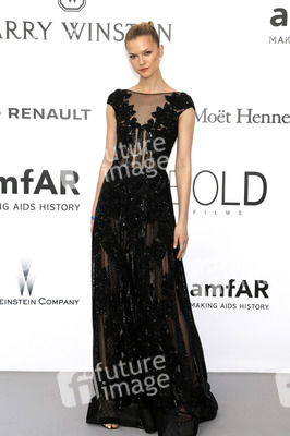 amfAR's Cinema Against Aids Gala, Cannes Film Festival 2016