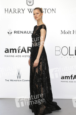 amfAR's Cinema Against Aids Gala, Cannes Film Festival 2016
