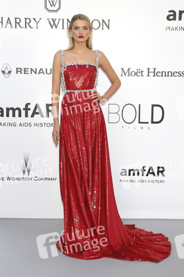 amfAR's Cinema Against Aids Gala, Cannes Film Festival 2016