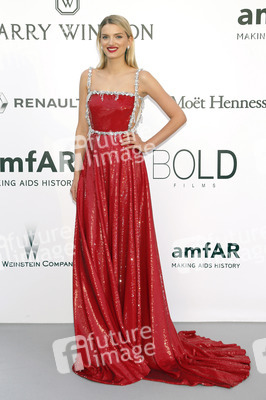 amfAR's Cinema Against Aids Gala, Cannes Film Festival 2016