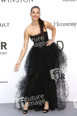 amfAR's Cinema Against Aids Gala, Cannes Film Festival 2016