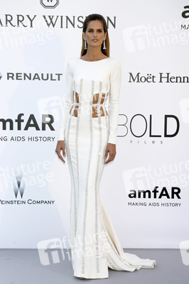 amfAR's Cinema Against Aids Gala, Cannes Film Festival 2016