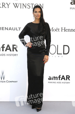 amfAR's Cinema Against Aids Gala, Cannes Film Festival 2016