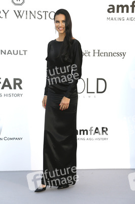 amfAR's Cinema Against Aids Gala, Cannes Film Festival 2016