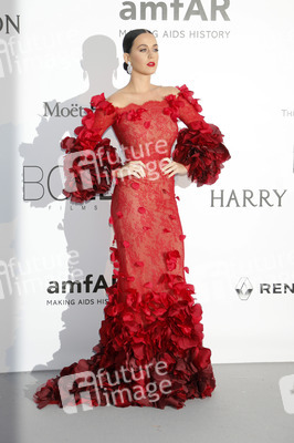amfAR's Cinema Against Aids Gala, Cannes Film Festival 2016