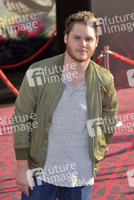 Filmpremiere 'Alice im Wunderland: Hinter den Spiegeln' in Los Angeles