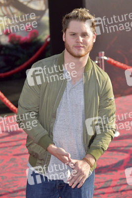 Filmpremiere 'Alice im Wunderland: Hinter den Spiegeln' in Los Angeles