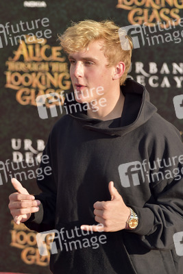 Filmpremiere 'Alice im Wunderland: Hinter den Spiegeln' in Los Angeles