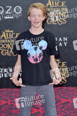 Filmpremiere 'Alice im Wunderland: Hinter den Spiegeln' in Los Angeles