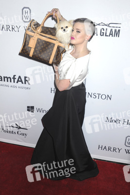 7. amfAR Inspiration Gala New York