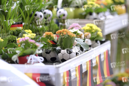 UEFA-Fußball-Europameisterschaft 2016 Impressionen aus Berlin