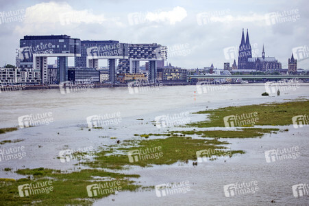 Hochwasser am Rhein