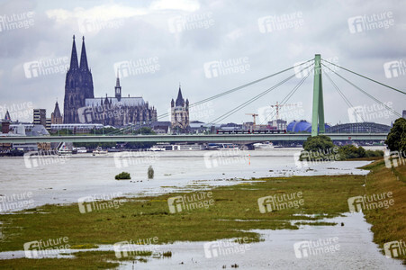 Hochwasser am Rhein