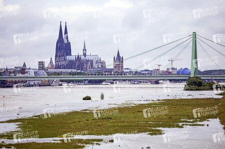Hochwasser am Rhein