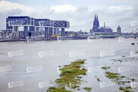 Hochwasser am Rhein