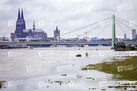 Hochwasser am Rhein