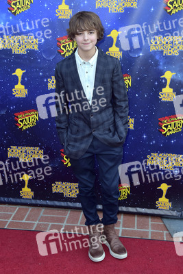 42. Saturn Awards in Burbank