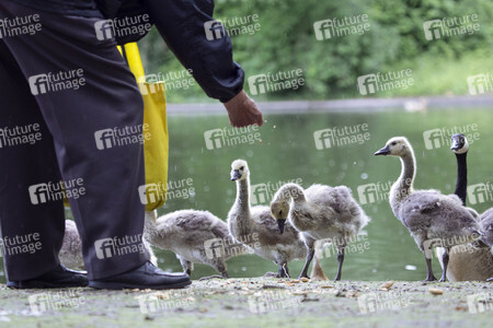 Symbolfoto Ordnungswidrigkeit