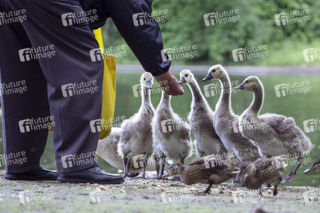 Symbolfoto Ordnungswidrigkeit