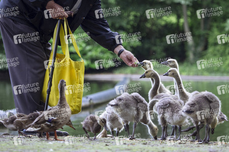 Symbolfoto Ordnungswidrigkeit