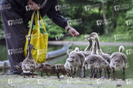Symbolfoto Ordnungswidrigkeit