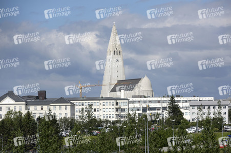 Sightseeing Reykjavik