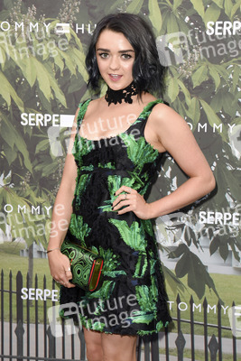 Serpentine Gallery Summer Party 2016 in London