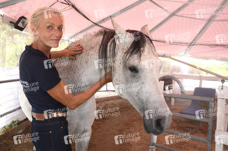Im Horseairium in Gilten