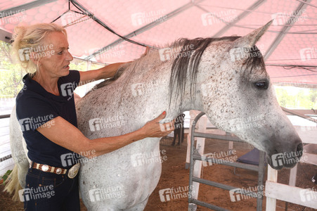 Im Horseairium in Gilten