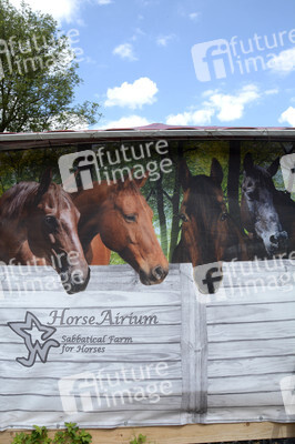 Im Horseairium in Gilten
