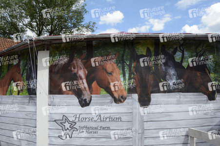 Im Horseairium in Gilten