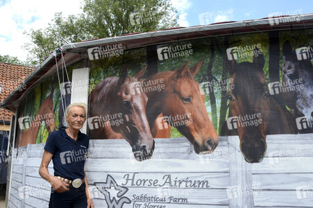 Im Horseairium in Gilten