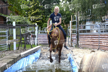 Im Horseairium in Gilten