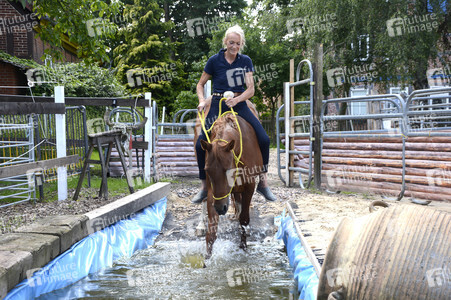 Im Horseairium in Gilten