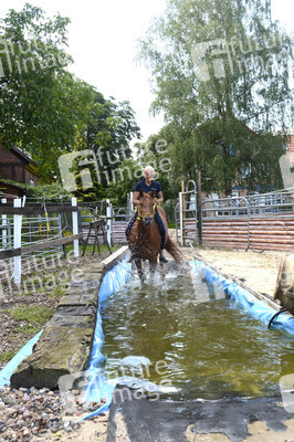 Im Horseairium in Gilten