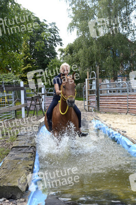 Im Horseairium in Gilten