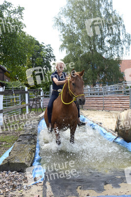 Im Horseairium in Gilten
