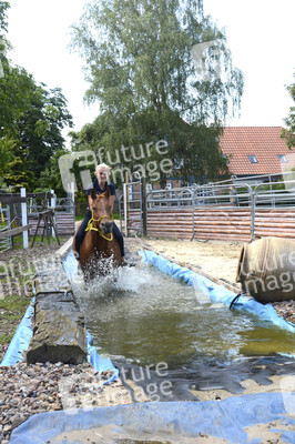 Im Horseairium in Gilten
