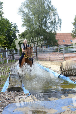 Im Horseairium in Gilten