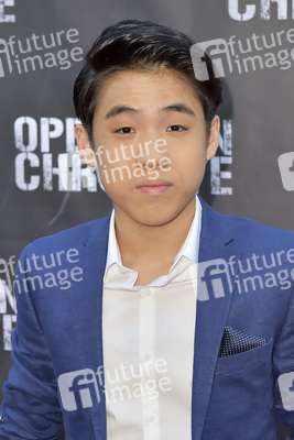 Specual Screeining 'Operation Chromite' in Los Angeles