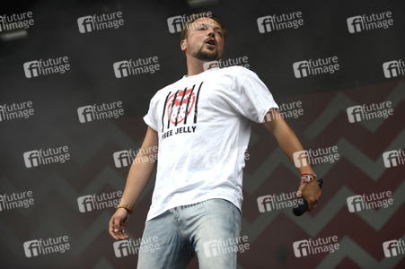 Highfield Festival 2016 in Großpösna