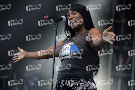 MusicfestNW Presents Project Pabst Festival in Portland