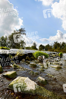 NATURE ART: Wehr / Weir Bodypainting