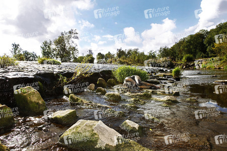 NATURE ART: Wehr / Weir Bodypainting